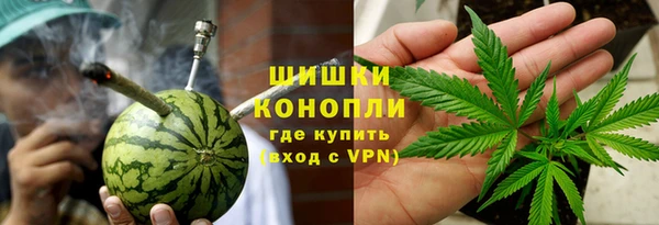 ПСИЛОЦИБИНОВЫЕ ГРИБЫ Дмитров