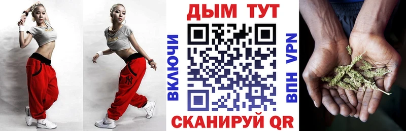 Каннабис план  Купить где  Сысерть 